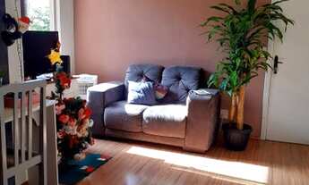 Imagem 2: Canoas - Padrão - Mato Grande