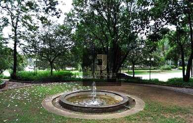 Imagem 6: Lindo lote no Alpha 2