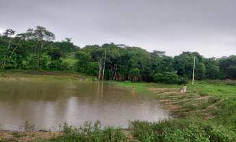 Imagem 3: Oportunidade! Vende-se uma excelente fazenda de 32 Alqueires