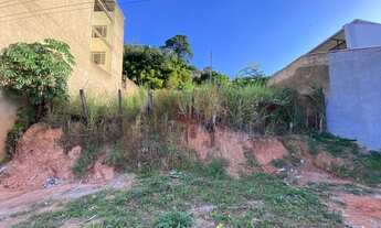 Imagem 1: Ipatinga - Terreno Padrão - Caravelas