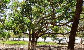 Imagem 7: OPORTUNIDADE - ECO PARK RESIDENCIAL - O MELHOR BAIRRO DE CONFRESA/MT!