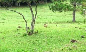 Imagem 4: TERRENO RESIDENCIAL em PAULO LOPES - SC, GAMBOINHA