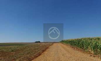 Imagem 3: Fazenda à venda, 677600 m² por R$ 8.500.000,00 - Centro - Nova Aurora/PR