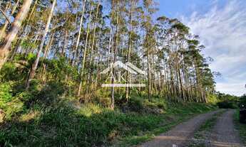 Imagem 2: Área de terras com bela vista no alto de Nova Petrópolis na serra gaúcha