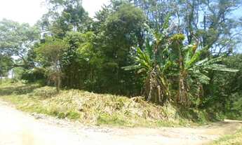 Imagem 5: Lotes 900m2 e 1.000m2 frente p/ 02 ruas 20m de frente Rio Gde da Serra Escritura e Iptu