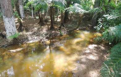 Imagem 7: 20 mil mts quadrados com riacho 57 mil reais