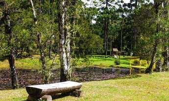 Imagem 2: Terreno à venda, 9395 m² por R$ 680.000,00 - Descansópolis - Campos do Jordão/SP