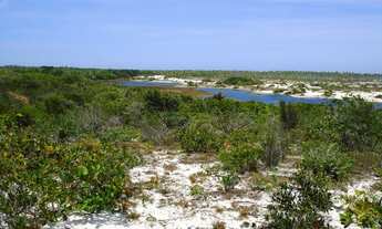 Imagem: Loteamento Lagoas da Praia do Forte, Mata