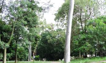 Imagem 4: SãO PAULO - Sobrado - JARDIM DAS BANDEIRAS