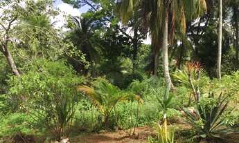 Imagem 2: Lote/Terreno para venda tem 10000 metros quadrados em Vida Nova - Lauro de Freitas - BA