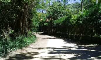 Imagem 4: Chácara lindíssima em São José dos Campos - SP