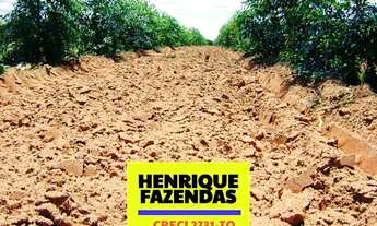 Imagem 7: Fazenda 2.899,16 hectares em Novo Acordo