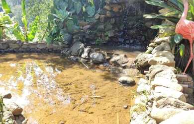 Imagem 4: Chácara para venda tem 5.050m² metros quadrados com 3 quartos em - Cambuí - Minas Gerais