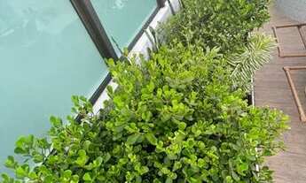 Imagem 3: Cobertura duplex para aluguel com 120 metros quadrados com 2 quartos em Tambaú - João Pess