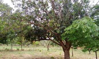 Imagem 2: Área 6.600 MTS - Excelente Preço pra vender hoje