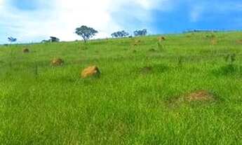 Imagem 6: 30p-OPORTUNIDADE DE TERRENO AO LADO DA NATUREZA