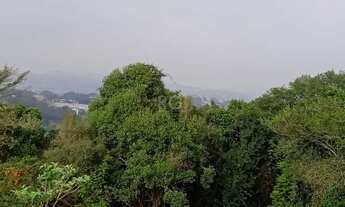 Imagem 3: Terreno para Venda - 4950m², 0 dormitórios, Vila Nova, Porto Alegre