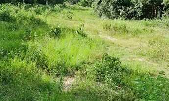 Imagem 3: FAZENDA RELIQUUA