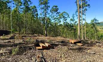 Imagem 3: Lote/Terreno para venda tem 600 metros quadrados em Aluminio - Alumínio - SP