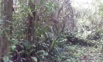 Imagem 5: Terreno de chácara com 5000m², em Itanhaém/SP