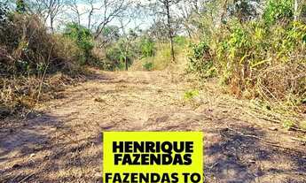 Imagem 2: Fazenda dupla aptidão região de Rio Sono Tocantins