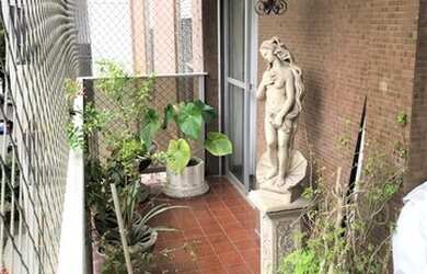 Imagem 5: PERDIZES - EXCELENTE LOCALIZAÇÃO