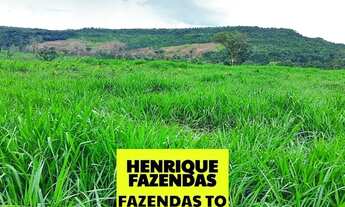 Imagem 3: Fazenda dupla aptidão região de Rio Sono Tocantins