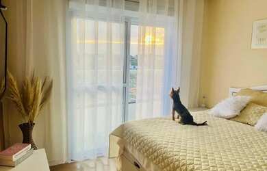 Imagem 6: Apartamento para locação no Condomínio Alpha Dijon, em Sorocaba-SP