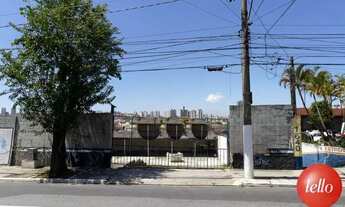 Imagem: São Bernardo do Campo - Terreno Padrão