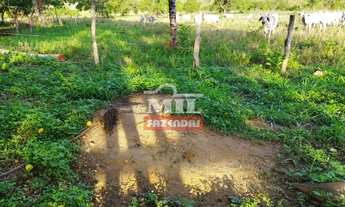 Imagem 3: Fazenda 204 Alqueires (987 Hectares) em Natividade - TO