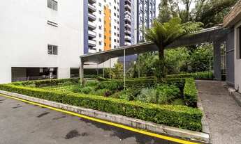 Imagem 4: CURITIBA - Apartamento Padrão - Cristo Rei