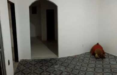 Imagem 7: Aluga-se casa Casa com 2 dormitórios