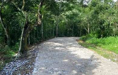 Imagem 6: Lotes Na Serra A 2Km Do Centro Do Pacoti E 07 De Guaramiranga Vem Para Esse Paraiso. n°:A
