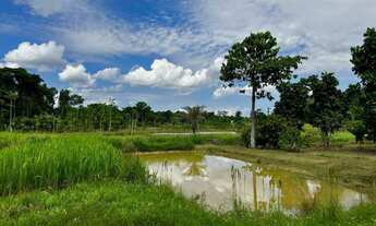 Imagem 6: Sítio com piscicultura Rod. Manoel Urbano, KM 53 AM070