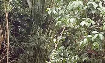 Imagem 4: Descubra o refúgio dos sonhos em uma das áreas mais encantadoras de Itaipava!