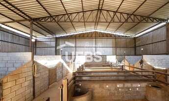 Imagem 4: Descubra o auge do luxo e tranquilidade nesta exclusiva Chácara/Haras de 11.000m² em Goiân