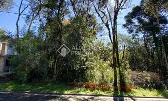 Imagem: TERRENO EM GRAMADO, PLANO NO BAIRRO CARNIEL