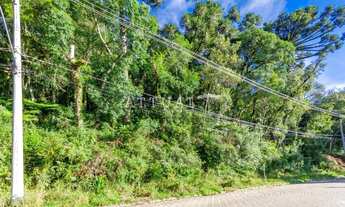 Imagem 3: TERRENO NA VILA SUZANA