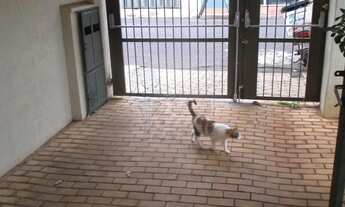 Imagem 2: Comercial padrão Casa comercial em Ribeirão Preto