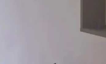 Imagem 7: Excelente apartamento para aluguel em Icaraí a poucos passos da Praia