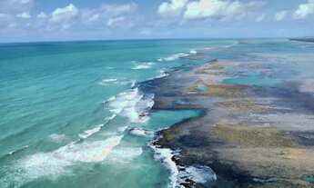 Imagem 2: Horizon Smart Flats: Seu Paraíso em São José da Coroa Grande!