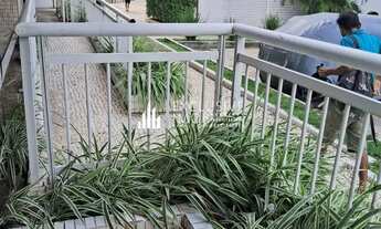 Imagem 3: Imóvel para venda possui 65 metros quadrados com 2 quartos em Sacramenta - Belém - PA