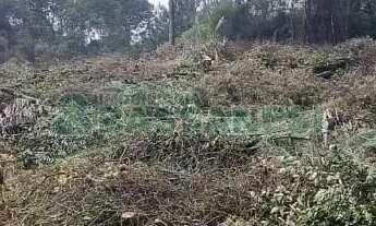 Imagem 3: Terreno Parada Cristal Caxias do Sul