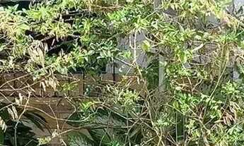 Imagem 2: Excelente casa no Portal do Poço (300 m², 3/4, bem localizada