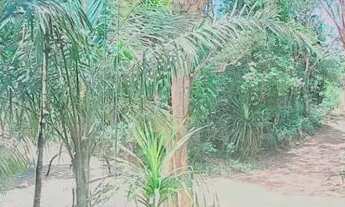 Imagem 7: AP LOCAÇÃO MENSAL VARANDA DA MATA