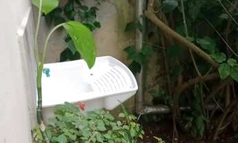 Imagem 7: Temporada em Florianópolis