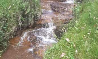 Imagem 6: Venda-se propriedade de 12 alqueires no Município de Alfredo Chaves/ES