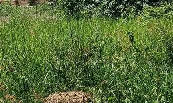 Imagem 2: Vendo ou troco lote 360m