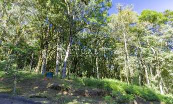 Imagem 6: TERRENO EM CONDOMÍNIO COM INFRAESTRUTURA!