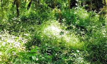 Imagem 7: A venda terreno de 21.299,70m² localizado no Parque dos Pinheiros em Gramado